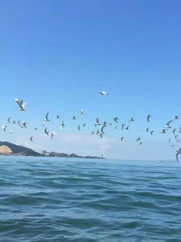 惠东巽寮湾无敌海景公寓 Exterior photo